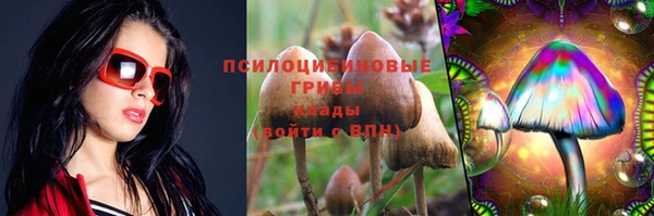 гашик Абаза
