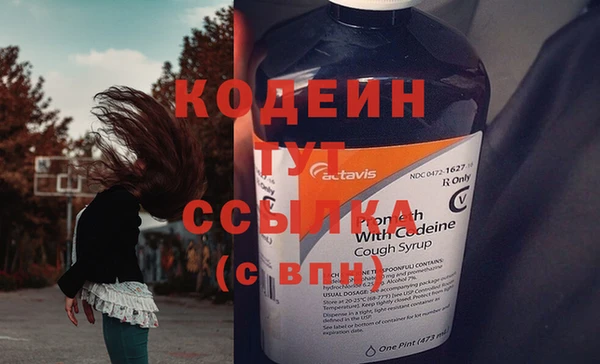 гашик Абаза