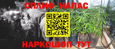 спиды Кандалакша