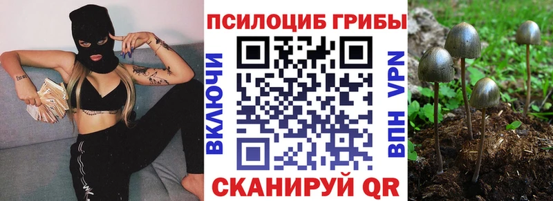 Псилоцибиновые грибы мухоморы  купить закладку  Новочебоксарск 