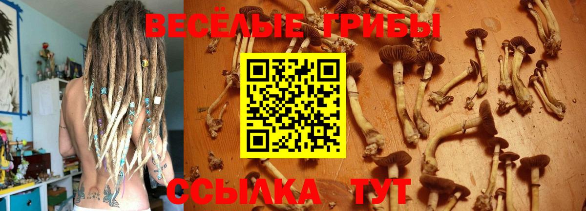 Псилоцибиновые грибы прущие грибы  Вход с VPN  Новочебоксарск  Галлюциногенные грибы MAGIC MUSHROOMS 